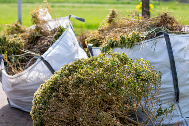 Yard Cleanup Services in Texanna, OK